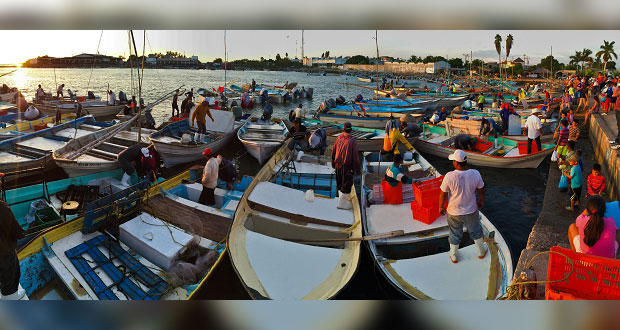 ¿Buscas tu permiso de pesca comercial? Mira el trámite electrónico