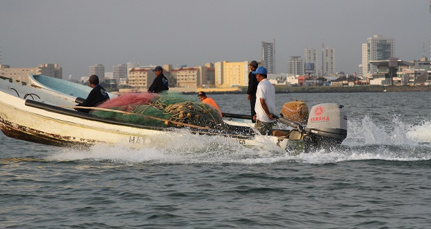 ¿Ya tramitaste permiso de pesca comercial? Registro está por cerrar