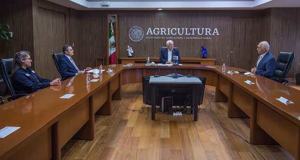 Combatiendo plagas, Senasica potencia producción alimentaria en México