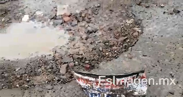 Con macetas, exigen a gobierno de San Pedro tapar baches; las roban