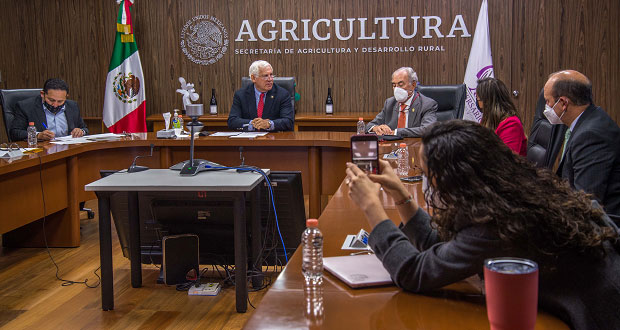 Con sede de congreso mundial, México impulsará industria vitivinícola