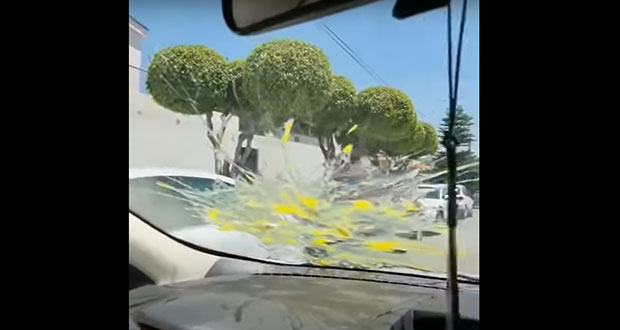 “El huevo estrellado”, la nueva modalidad para robar a automovilistas