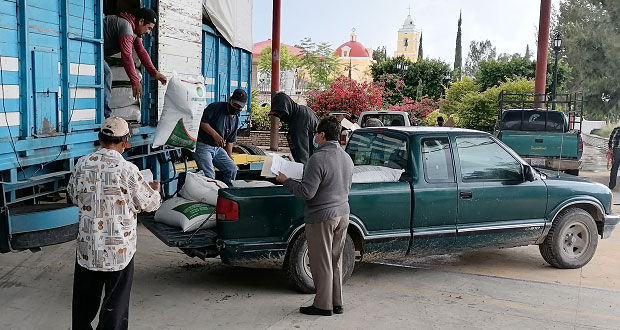 En Tepexi, apoyan a 936 campesinos con fertilizante subsidiado  