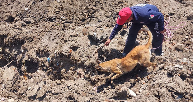 Joven muere sepultado por alud de tierra en Cuautlancingo