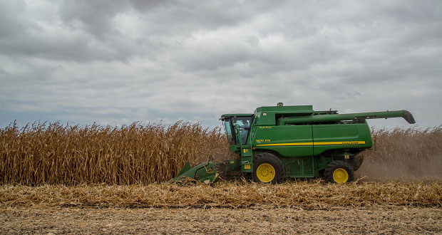 México implementa métodos de cultivo agroecológicos: Sader