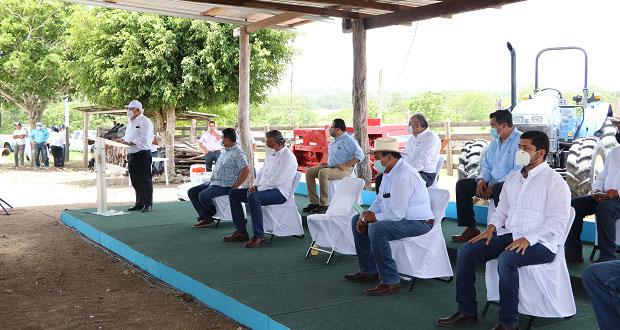 Sader va por elevar productividad agroalimentaria en Quintana Roo