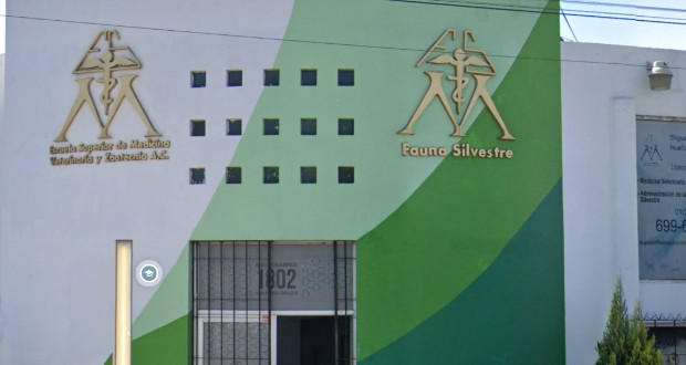 Docente de Escuela de Medicina pide moches para subir calificaciones, acusan