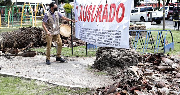 Ambiente estatal clausura tala en Analco; en la Juárez, SSP vigila 