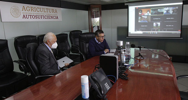 Con asesoría y escuelas, Sader avanza en eliminar glifosato