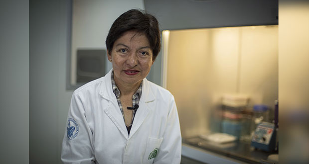 Confirma Lilia Cedillo que buscará rectoría BUAP; deja Centro Biomolecular