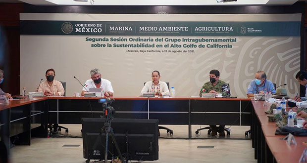 Gobierno y sociedad se coordinan para conservar a la vaquita marina