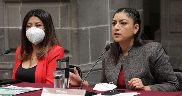 Pide Claudia Rivera atender derribo de árboles en Flor del Bosque