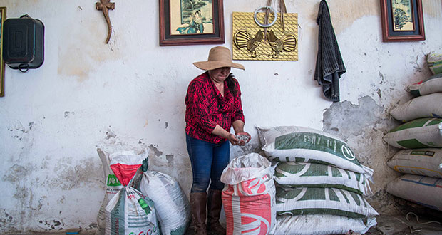 Programa Fertilizante para el Bienestar, a 48 municipios de Puebla