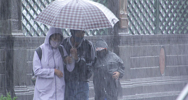 Reportan árboles caídos tras intensa lluvia en la ciudad de Puebla