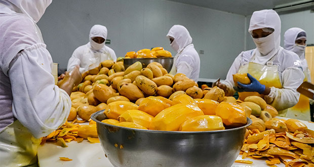 Senasica habilitará a empresas para certificar productos orgánicos