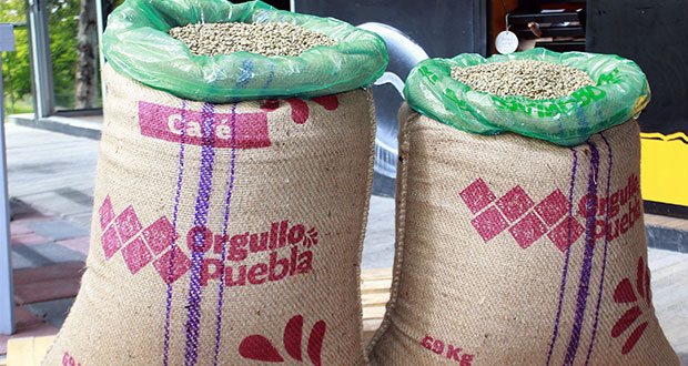 Se exportará café verde de especialidad de Sierra Negra a Canadá