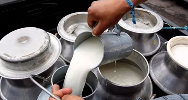 Comprar leche a EU, sin afectar a productores locales: Federación