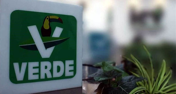 Pide PVEM evaluar tala de palmeras para evitar daños ecológicos