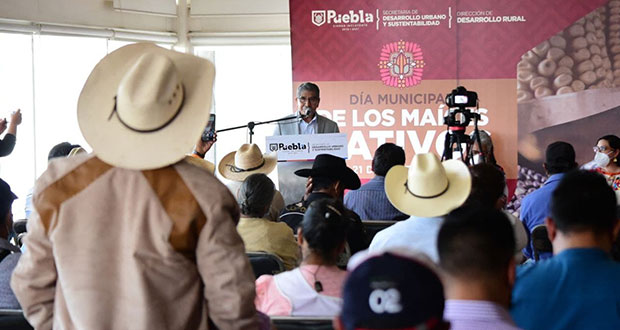 17 comunidades ejidales de Puebla, guardianes de maíz nativo
