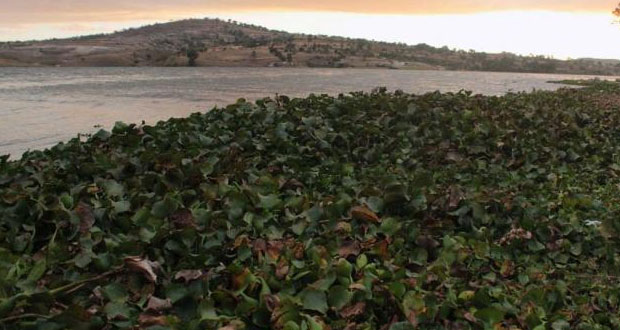 Conagua denunciará desborde de lago artificial en Valle de Bravo