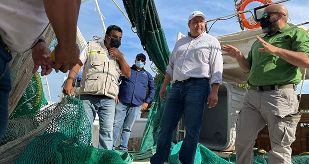 Federación supervisa excluidores de tortugas marinas en Tampico 