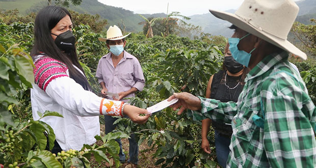 SDR continúa indemnización a productores afectados por “Grace”