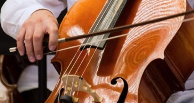 Si pediste Apoyo para Músicos Tradicionales, checa los resultados aquí