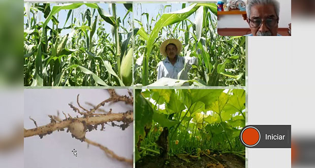 Universidades deben impulsar agroecología para soberanía alimentaria