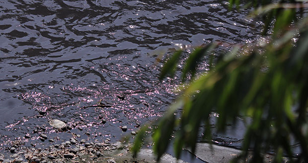 contaminacion rio atoyac