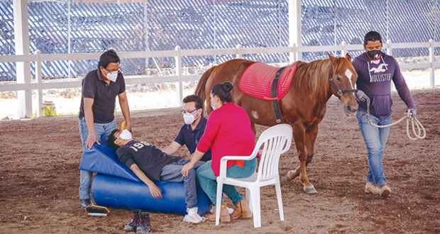 Checa los talleres del centro municipal de Equinoterapia