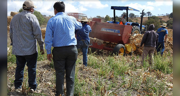 Comuna reactiva 138 hectáreas en 16 ejidos para producción agrícola