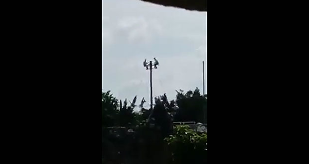 En festejos por Día de Muertos, volador cae en Huaquechula