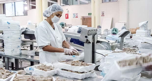 México, con exportaciones a Europa por 1,158 mde en 2020: Sader 