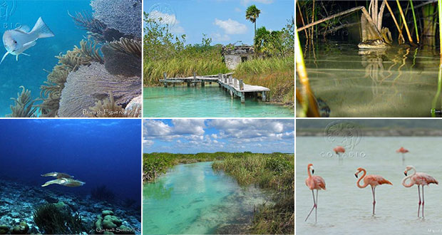 Reserva Sian Ka'an, con manglares y arrecifes, patrimonio de Quintana Roo
