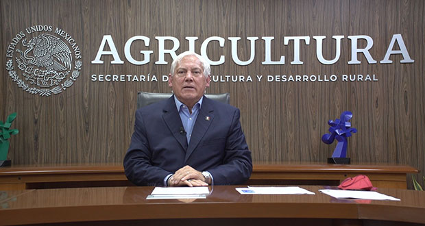 Sector agroalimentario, clave para desarrollo del Istmo; Sader fortalece 