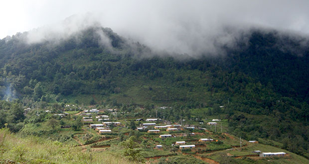 Sembrando Vida se amplía a 12 municipios en La Montaña de Guerrero