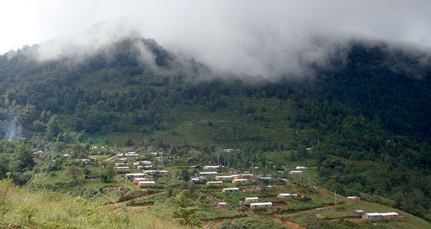 Sembrando Vida se amplía a 12 municipios en La Montaña de Guerrero 