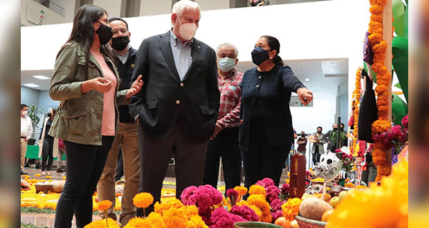 Siembra de cempasúchil en 2 mil hectáreas para Día de Muertos: Sader