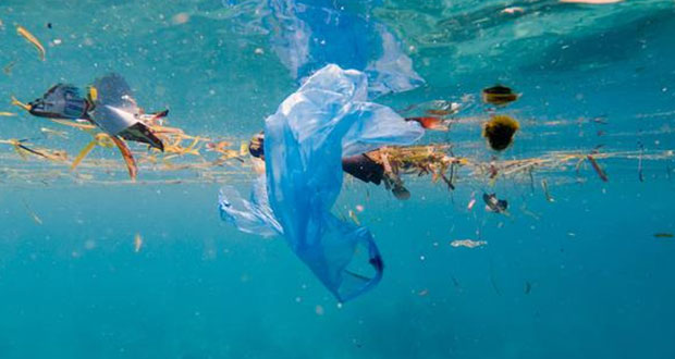 ¿Cuántas toneladas de plástico terminan en el mar? 