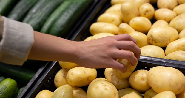 Agricultura aplica medidas fitosanitarias para importación de papa