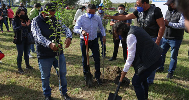 Ayuntamiento de San Andrés Cholula planta 300 árboles