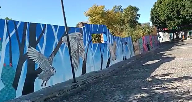 Colectivo Tomate lleva 305 murales a espacios públicos de Puebla