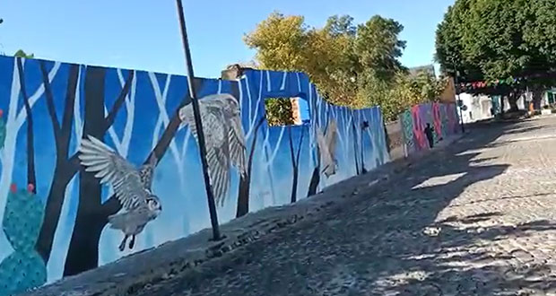 Colectivo Tomate lleva 305 murales a espacios públicos de Puebla 