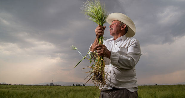 Comercio agroalimentario, con superávit de 1,415 mdd en nueve meses