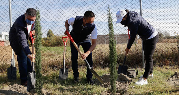Comuna de San Andrés Cholula planta 100 árboles en bachillerato