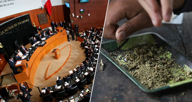 En Senado, buscan aprobar legislación de mariguana antes de fin de año