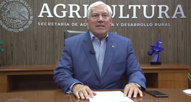 Sector agroalimentario
