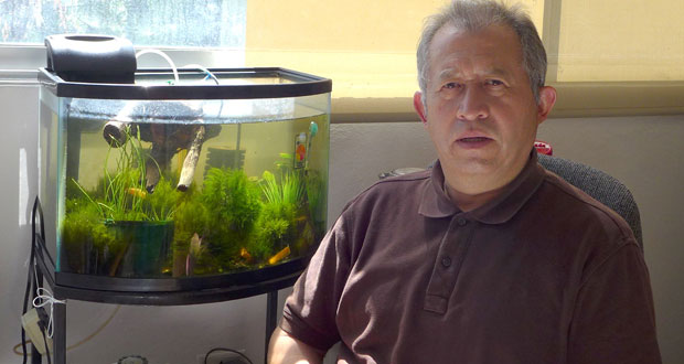 Investigador de BUAP estudian técnica de apareamiento de peces