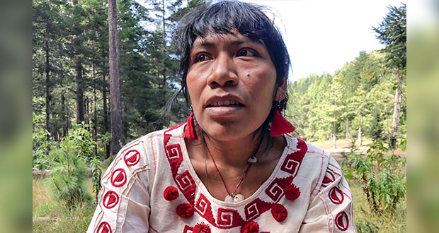 Tras 2 semanas, Fiscalía de Oaxaca busca a activista contra tala ilegal