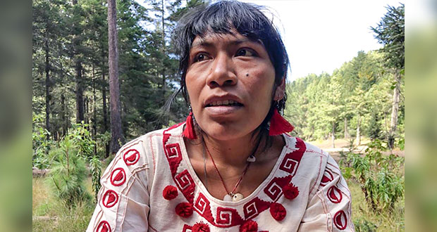 Tras 2 semanas, Fiscalía de Oaxaca busca a activista contra tala ilegal  
